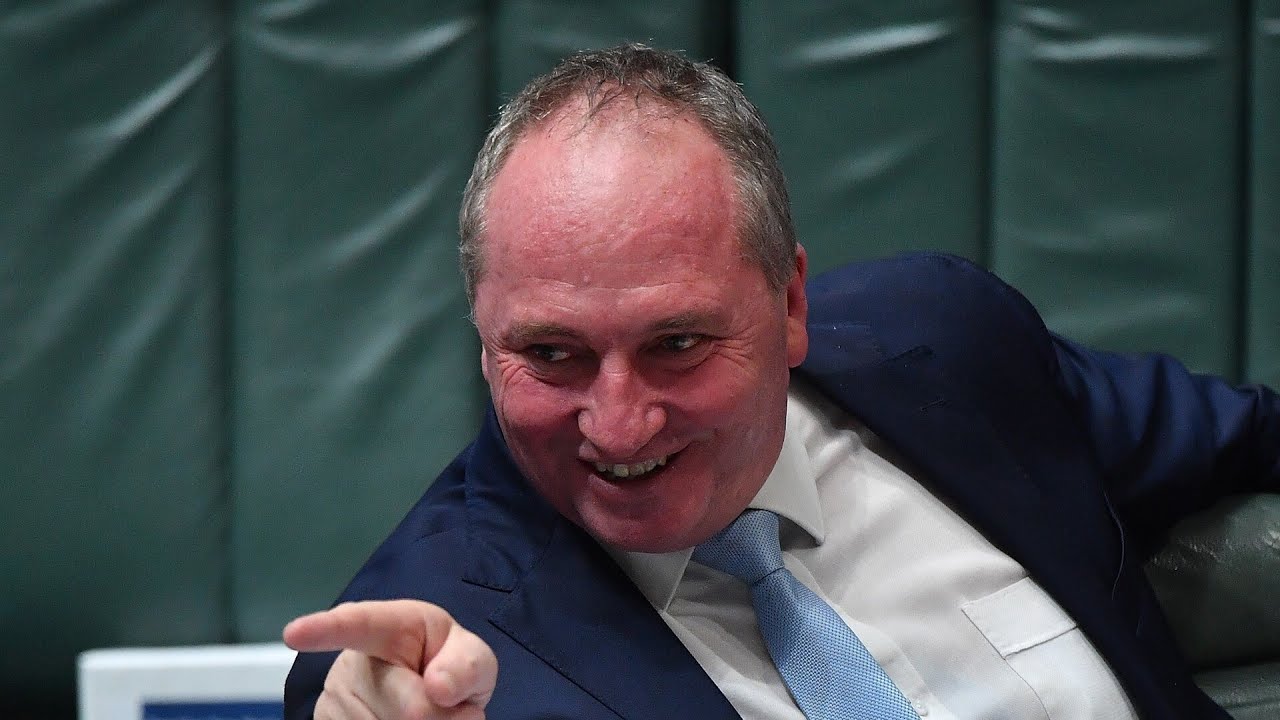 ‘I will continue to fight’: Barnaby Joyce reinforces his push to repeal net zero