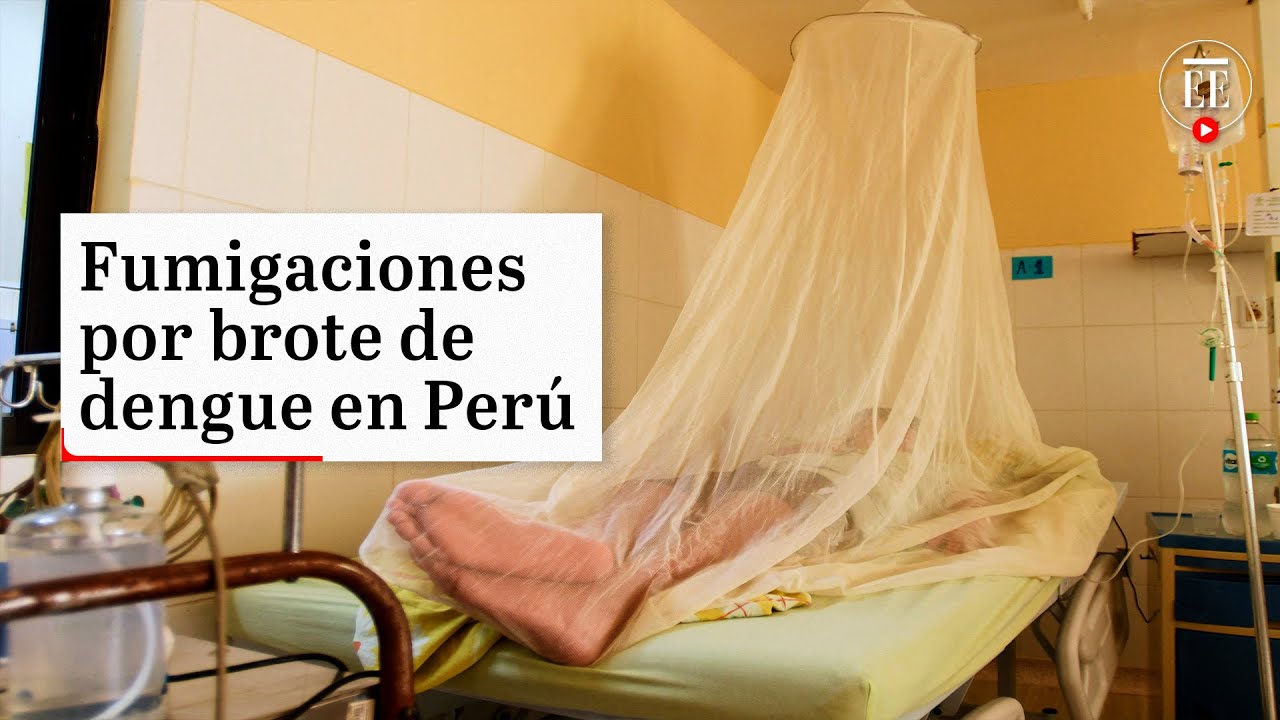 Emergencia sanitaria por brote de dengue en 13 departamentos de Per&uacute; | El Espectador