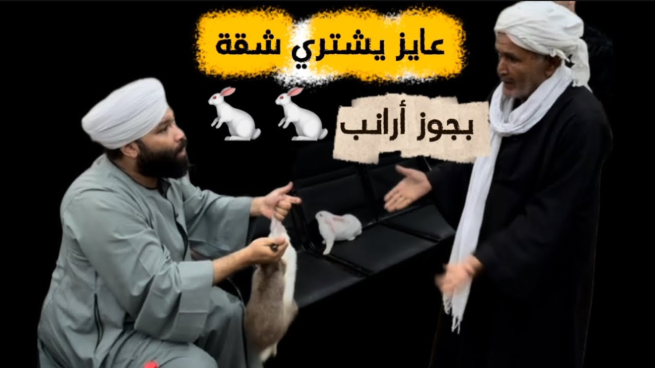 عايز يشتري شقة فى القاهرة بجوز أرنب 🐇 🐇 