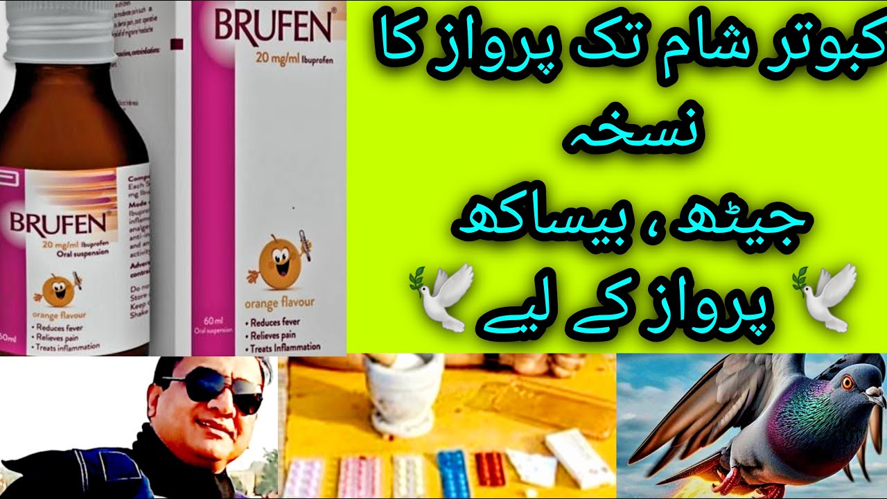 Kabootar ki parwaz barhany ka nuskha | kabutar parwaz
