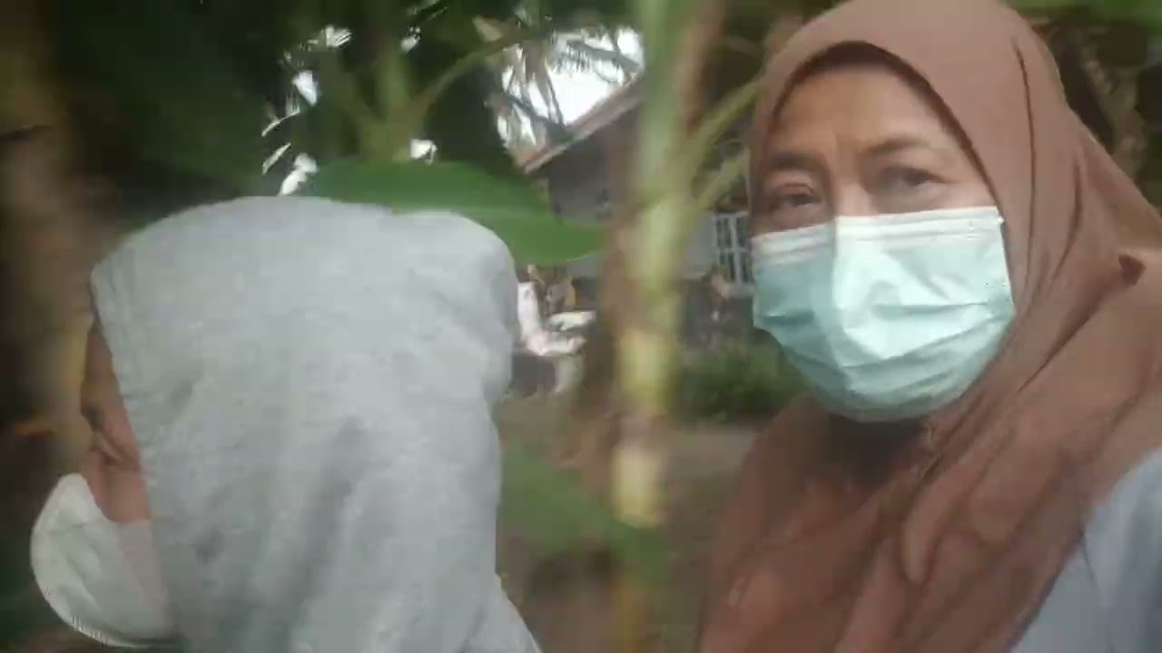 Ke, Pasar sambil keliling kampung# Musim Panen Padi