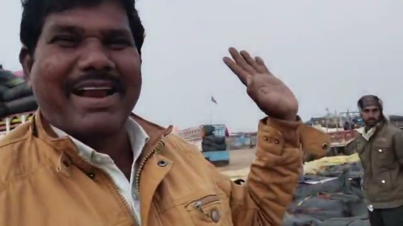 BEDIYA mirchi mandi 🌶️ rate and business to cont.9977022476#video #viral #trending #redchilli #food 