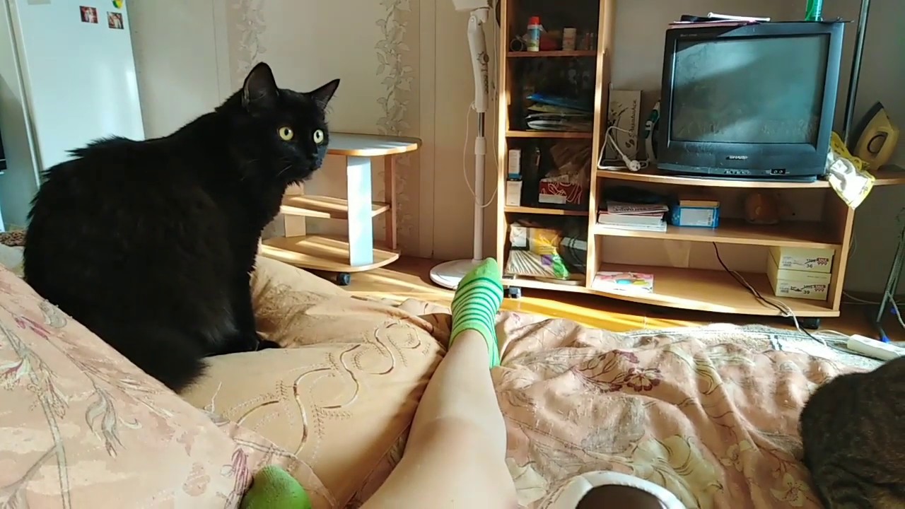 ЗЛАЯ ЖЕНЩИНА ААААААА!...!!