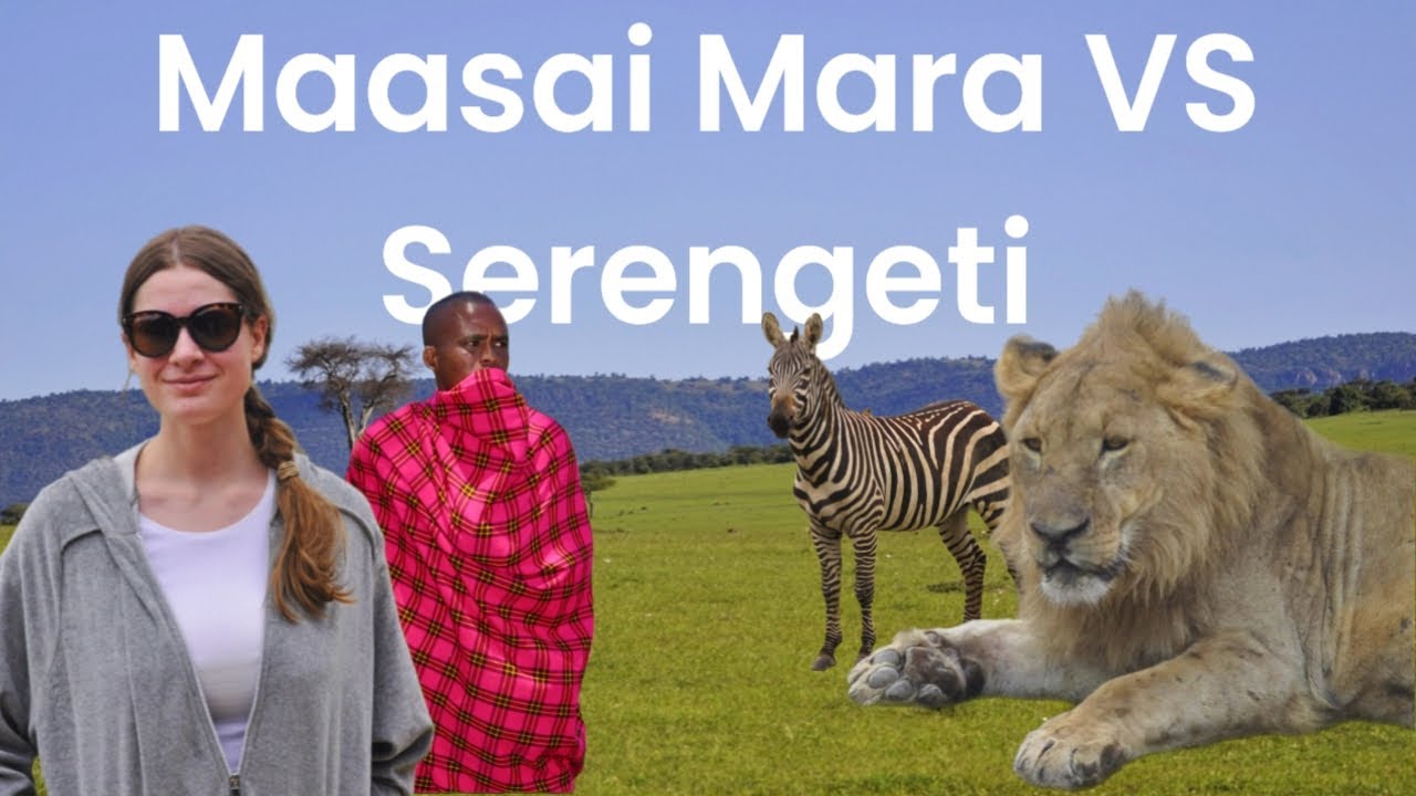 MAASAI MARA or SERENGETI? Which one is better for an African safari? - safari travel guide