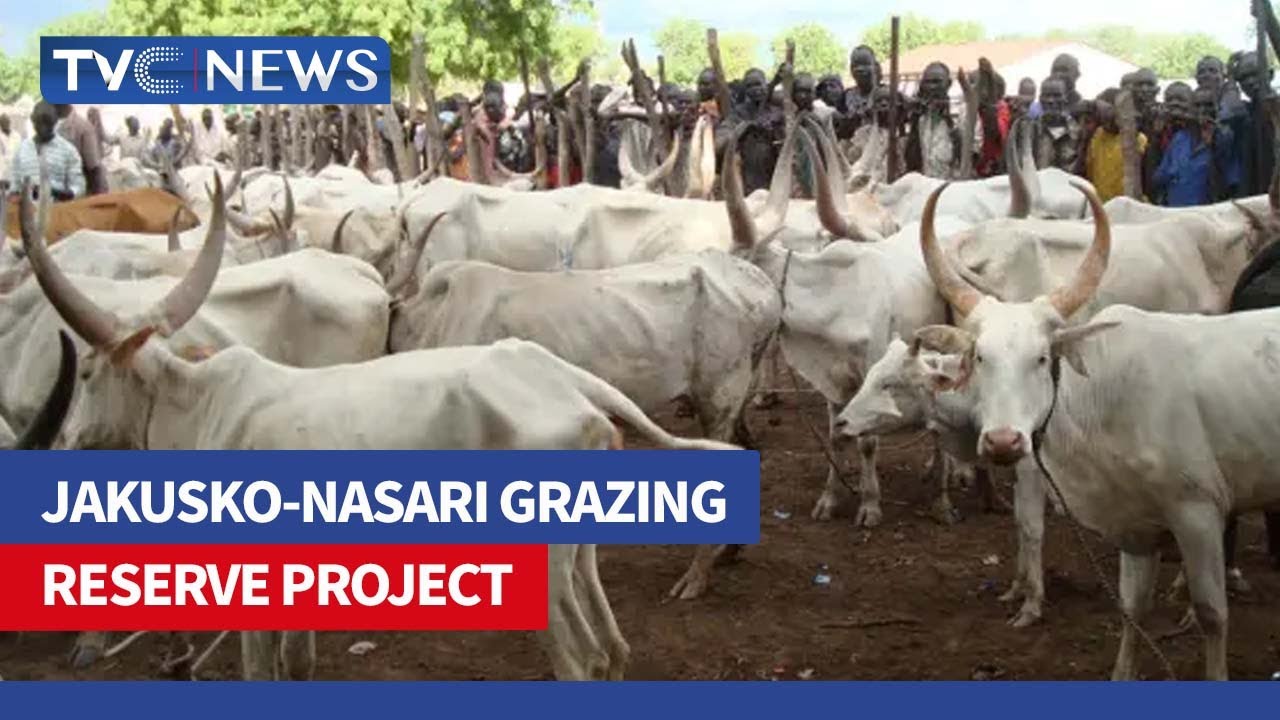 Yobe, FG Intensify Completion of Jakusko-Nasari Grazing Reserve Project