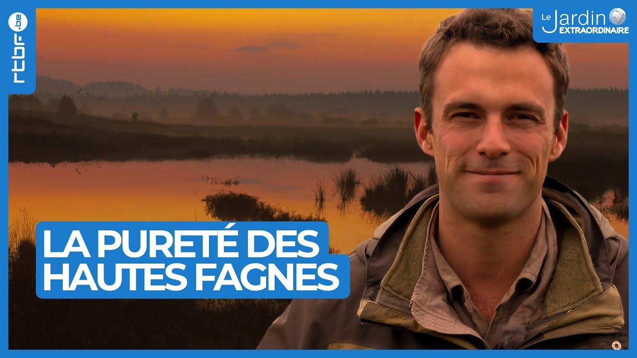 La pureté des Hautes Fagnes - Le Jardin Extraordinaire 🌍