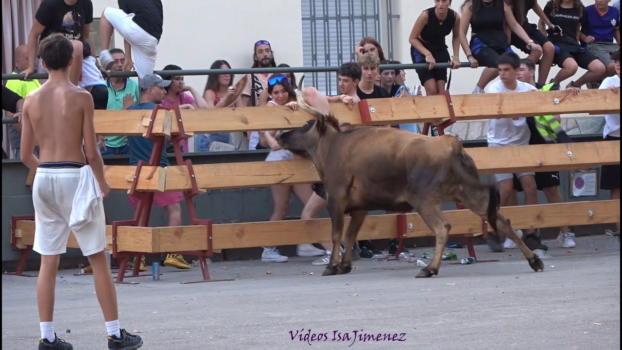 Villanueva de Gállego (Zaragoza) - Suelta de reses - 07/08/2024 - HD