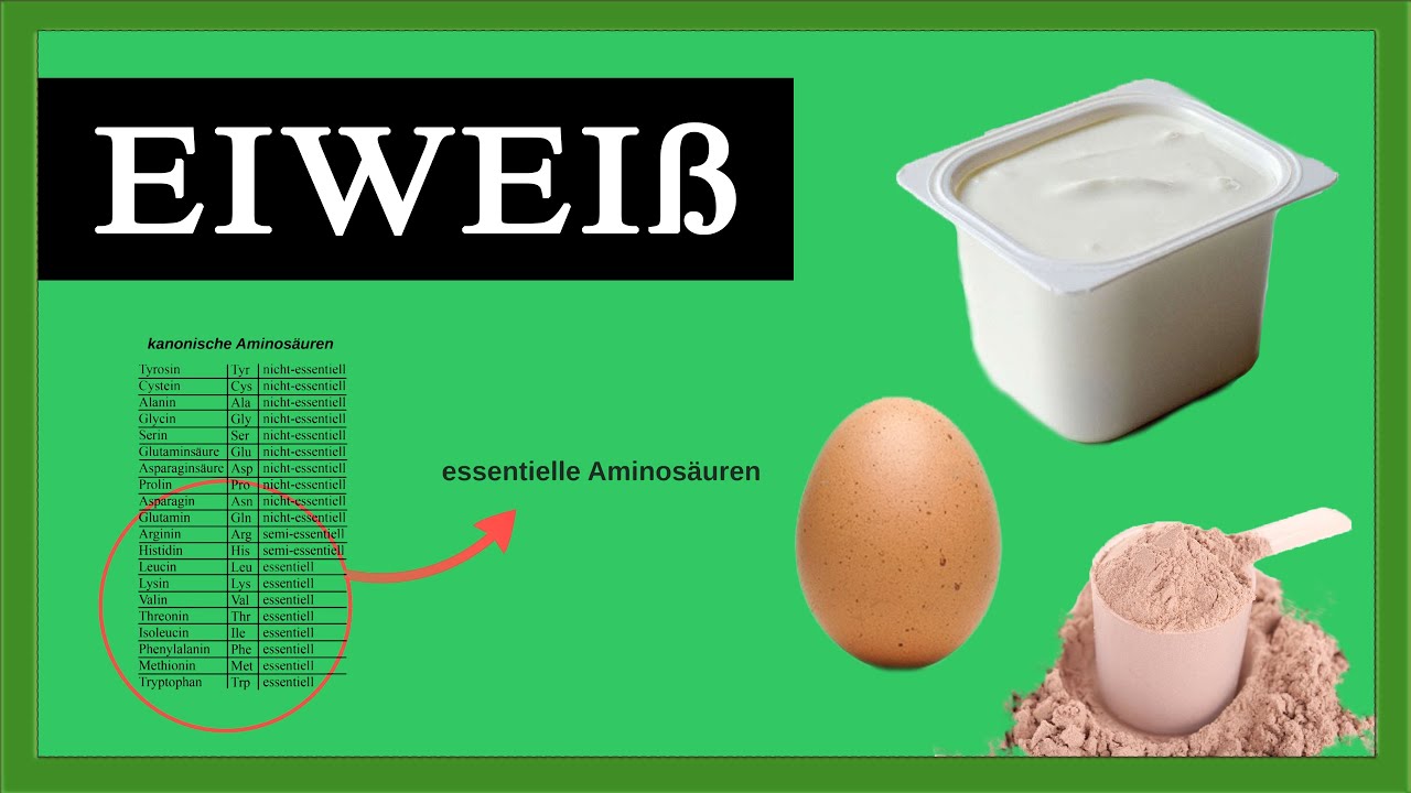 Was ist Eiweiß? Proteine: Aminsoäuren als wichtigster Bestandteil des Körpers | BASICS #3