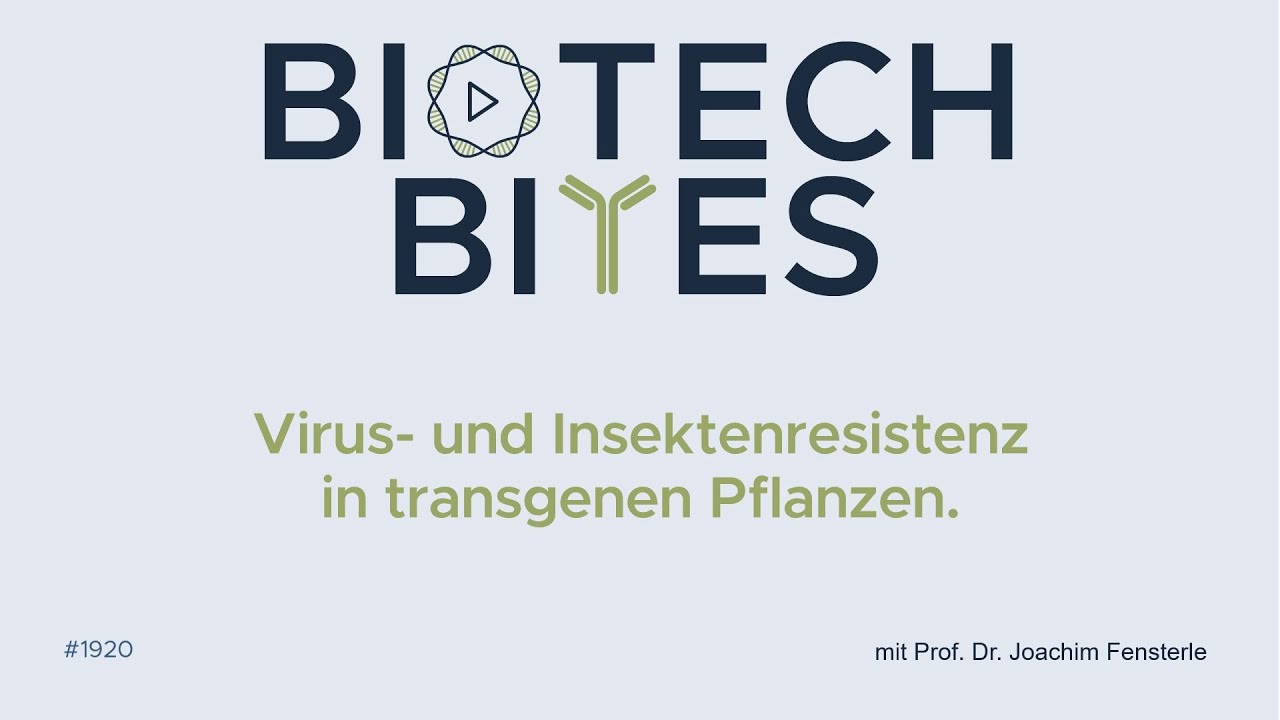 Biotech-Bites - Virus- und Insektenresistente transgene Pflanzen.