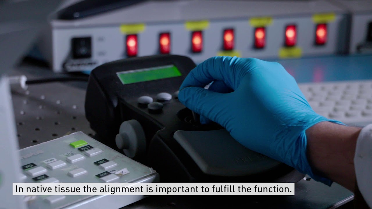 A scaffold for engineering human tissue