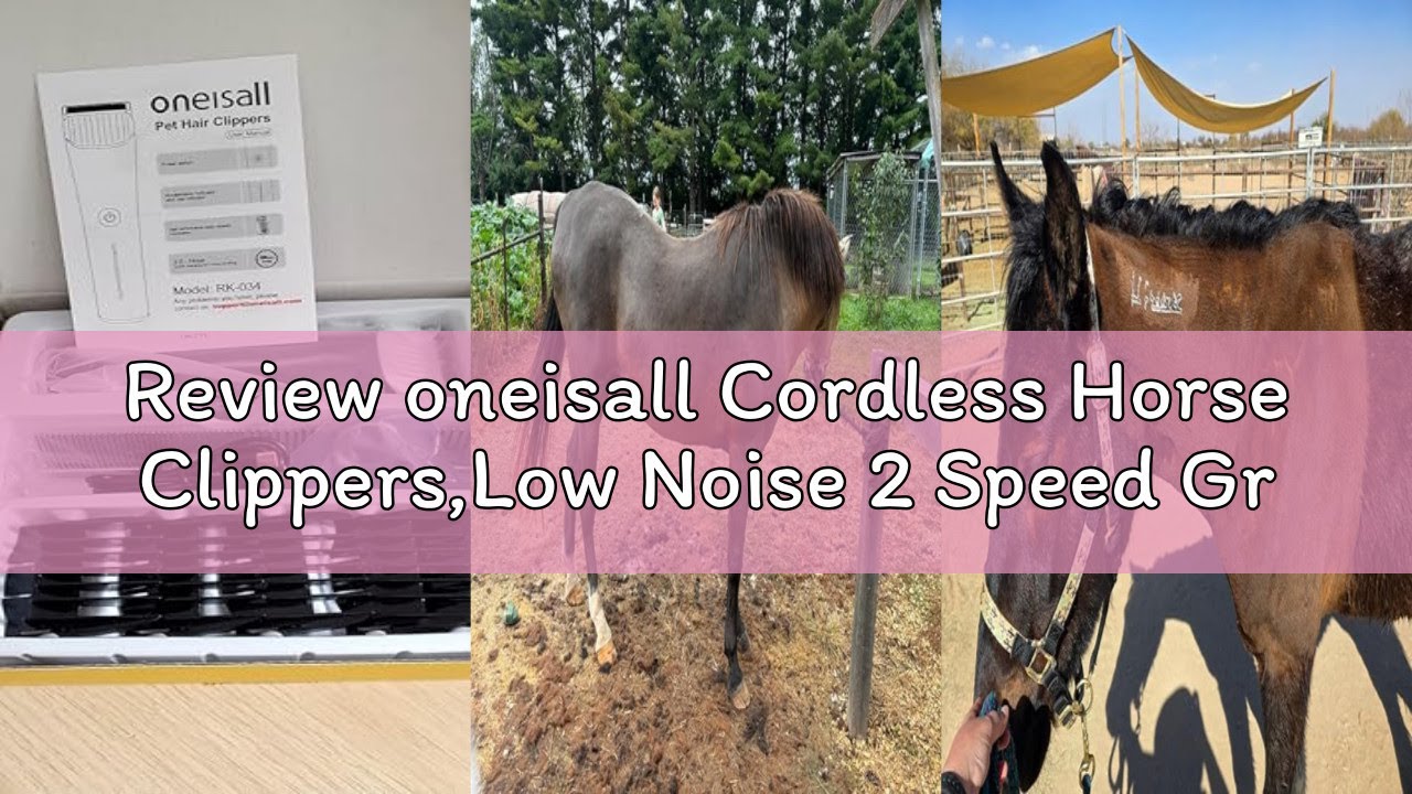 Review oneisall Cordless Horse Clippers,Low Noise 2 Speed Grooming Clippers,Horse Trimmer Shaver Kit