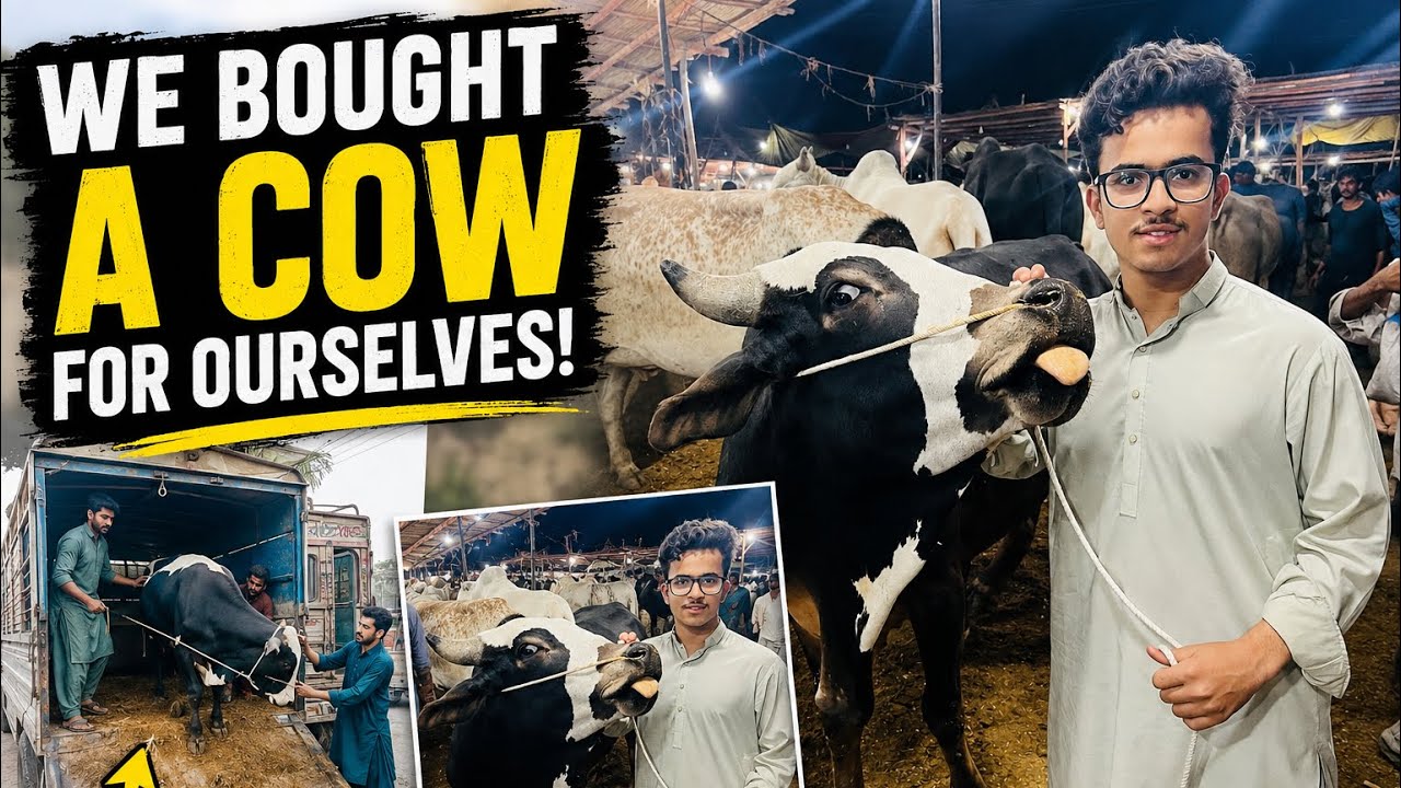 Finally Bought a Cow for Our Family 🐄 | Full Mandi Vlog @MustafaHanif 