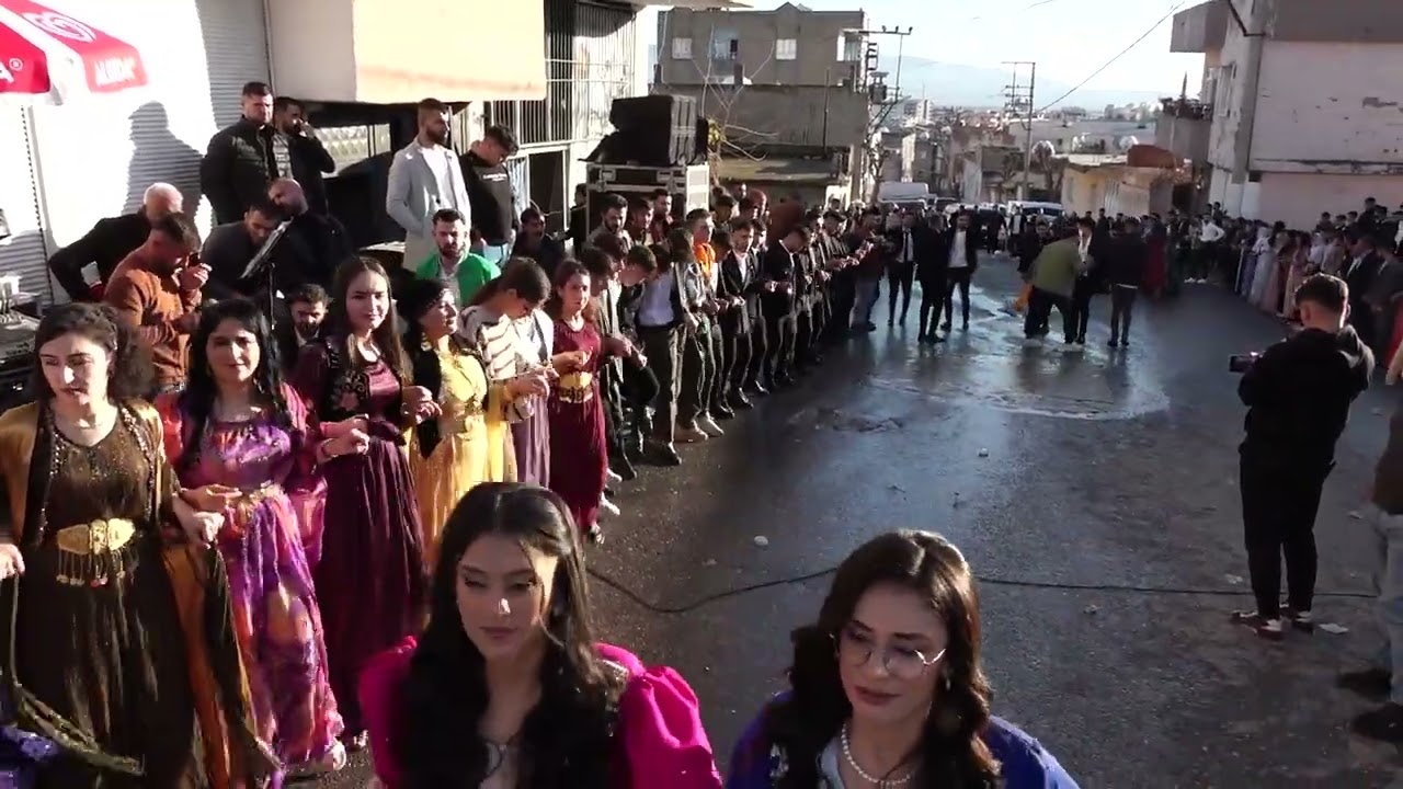 Şuayip Kartal Düğünü Part 5 ( Grup Welat Silopi ) 2024
