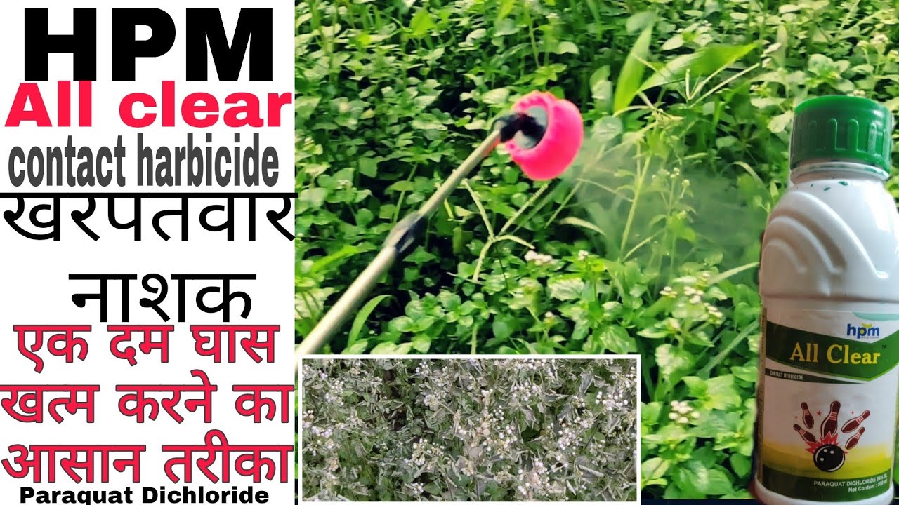contact harbicide | HPM all clear | खरपतवार नाशक | Paraquat Dichloride 24% | Praveen Thakur