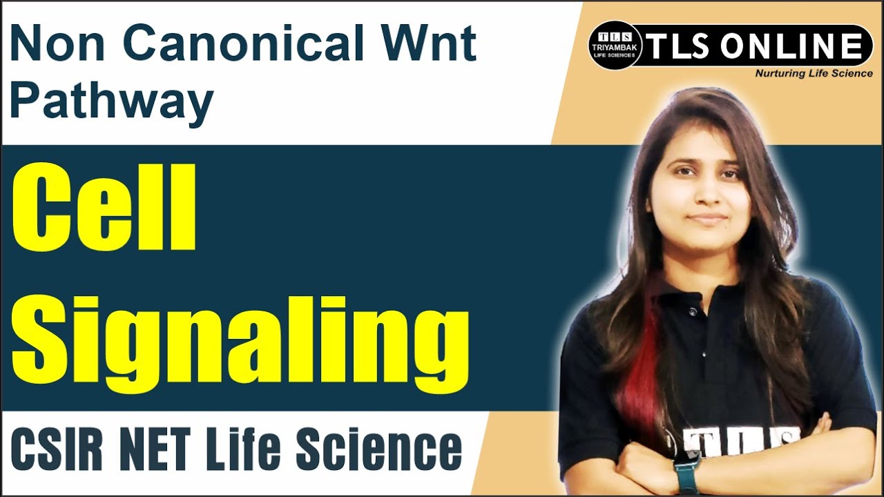 Non Canonical Wnt Pathway | Cell Signaling | CSIR NET Life Science | Shruti Shukla |