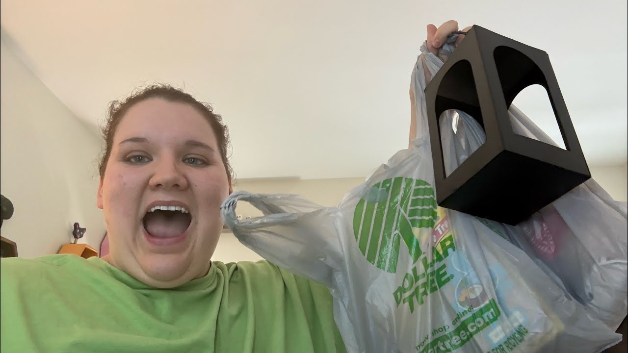 Dollar tree haul 