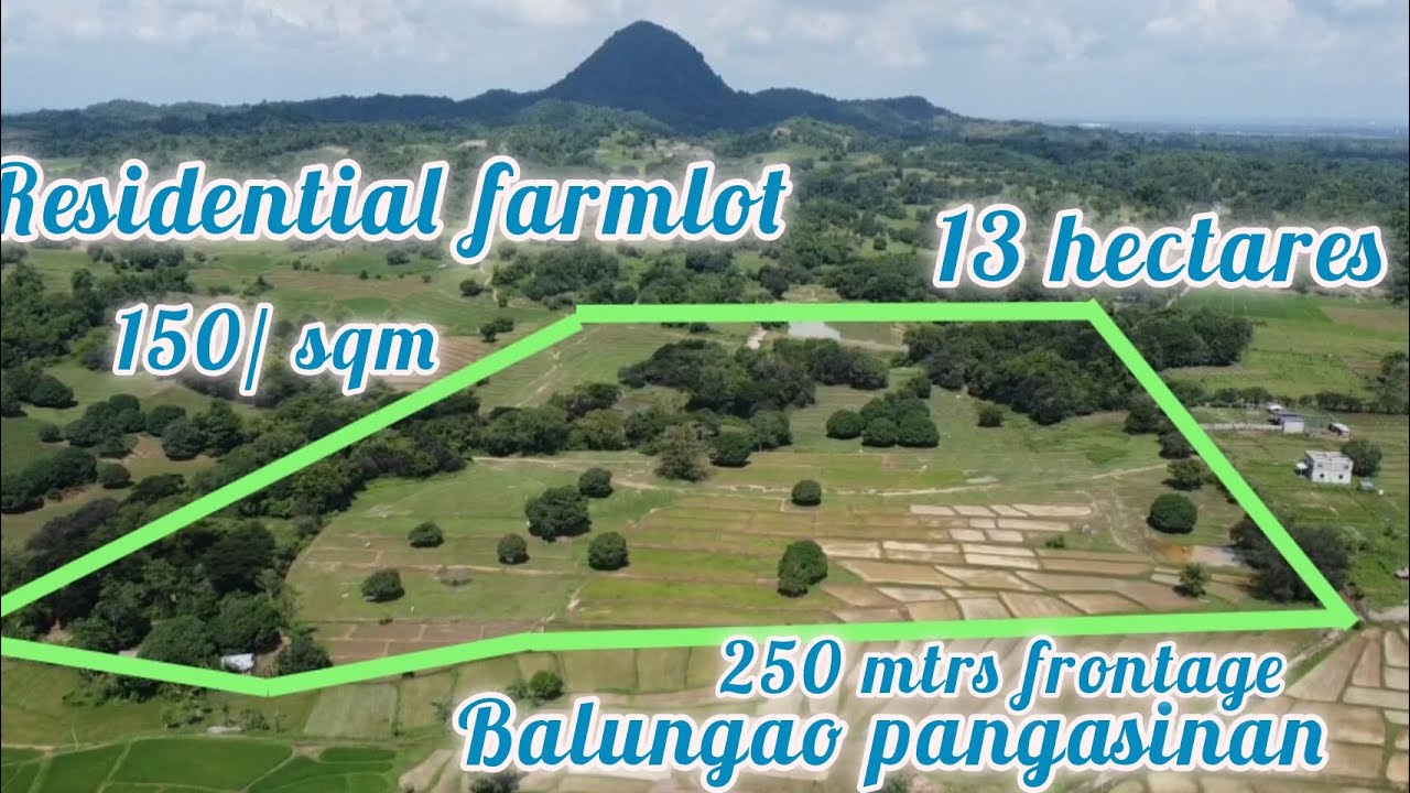 lot#305 residential farmlot 250 mtrs frontge along brgy road power line,internet sa lugar 150/sqm