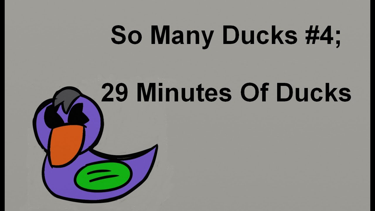 So Many Ducks #4; 29 Minutes Of Ducks