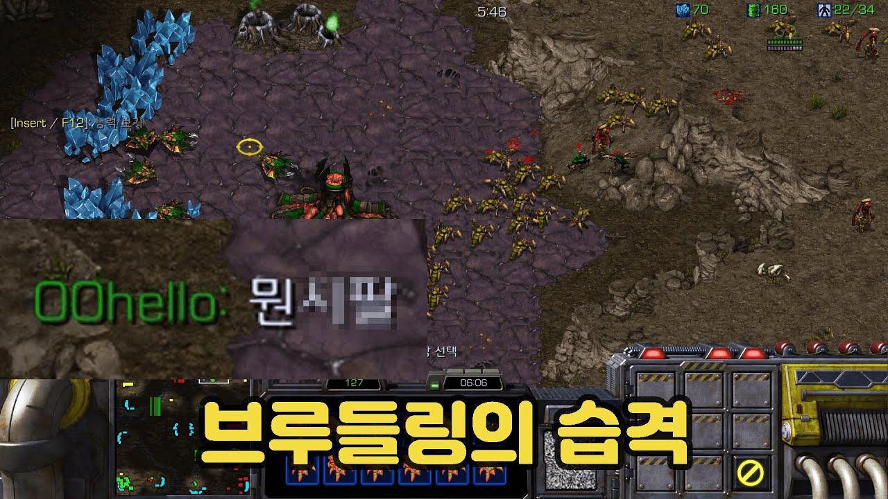 수많은 브루들링을 보고 나온 감탄사