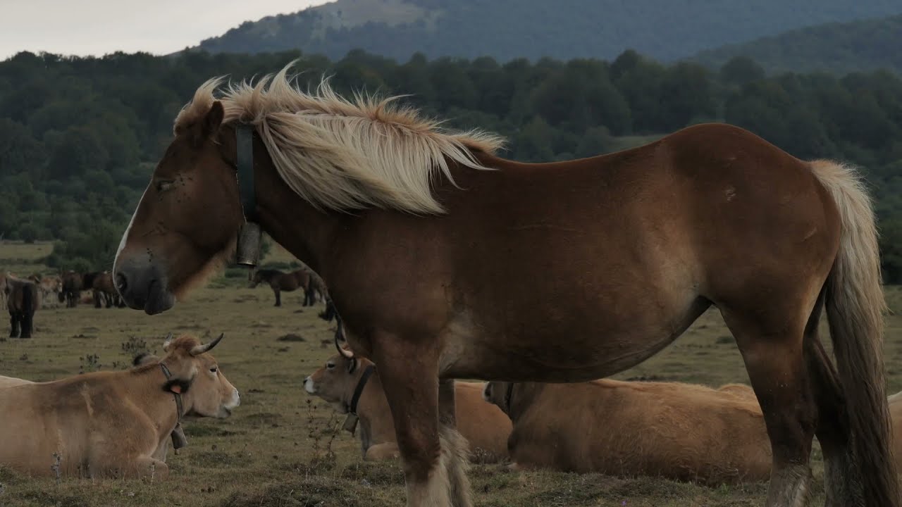 Somewhere in northern Spain - Summer 2020
