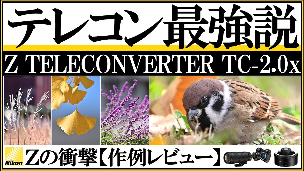 Nikon ミラーレス一眼カメラにテレコンバーターを使う理由。 【Zマウントの望遠レンズ（70-200mm f2.8）の画質に対する印象や画角を比較】 Z TELECONVERTER TC-2.0x