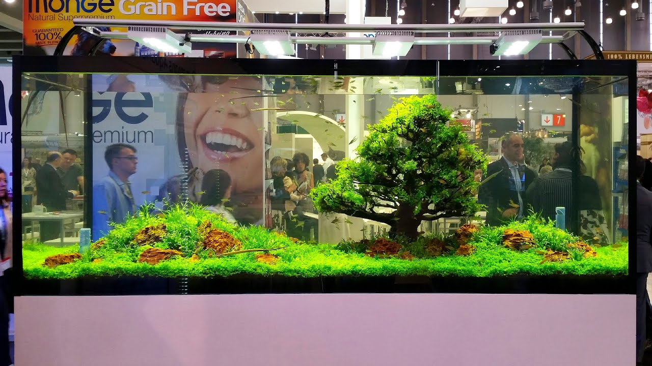 Magical tree - 200x80x90h cm - Interzoo 2016