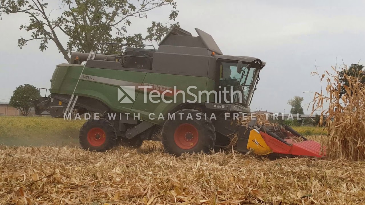 FENDT 6275 L/Capello Quasar 8 rows/Corn Harvest/Trebbiatura Mais