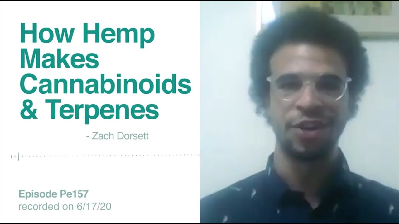 Hemp Grower Describes How Hemp Plants Produces CBD, THC, and Terpenes