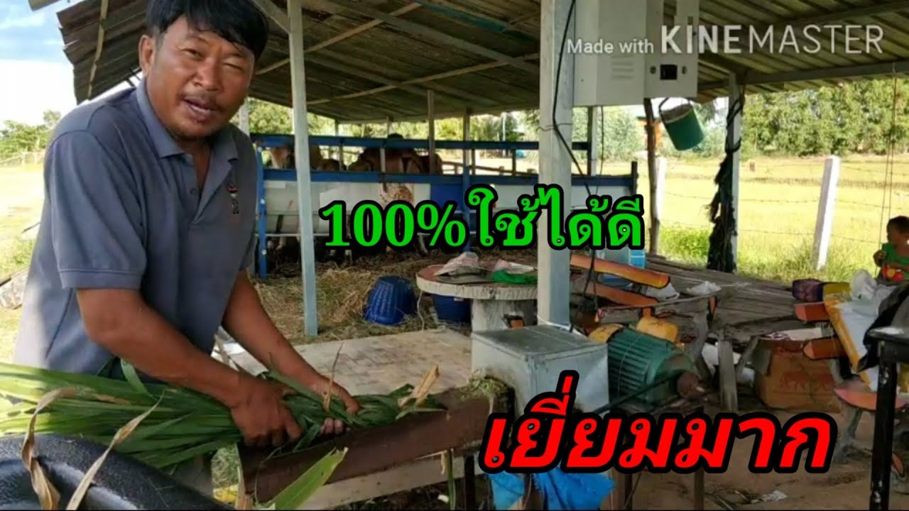 การทำเครื่องบดหญ้าเนเปียร์ใช้เอง#ทำแล้วใช้ได้ดีเยี่ยมมากผมรับรองEp.15