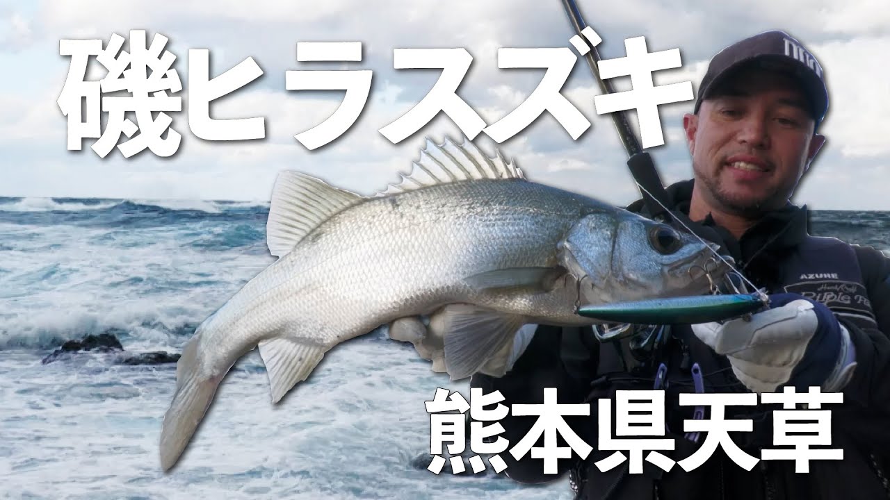 天草　磯ヒラスズキゲーム