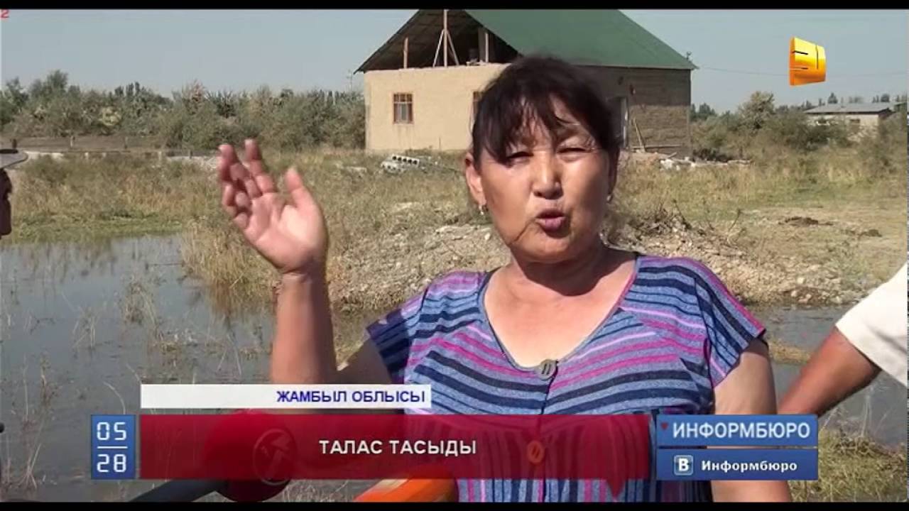 Жамбыл облысында тағы да Талас өзені тасыды