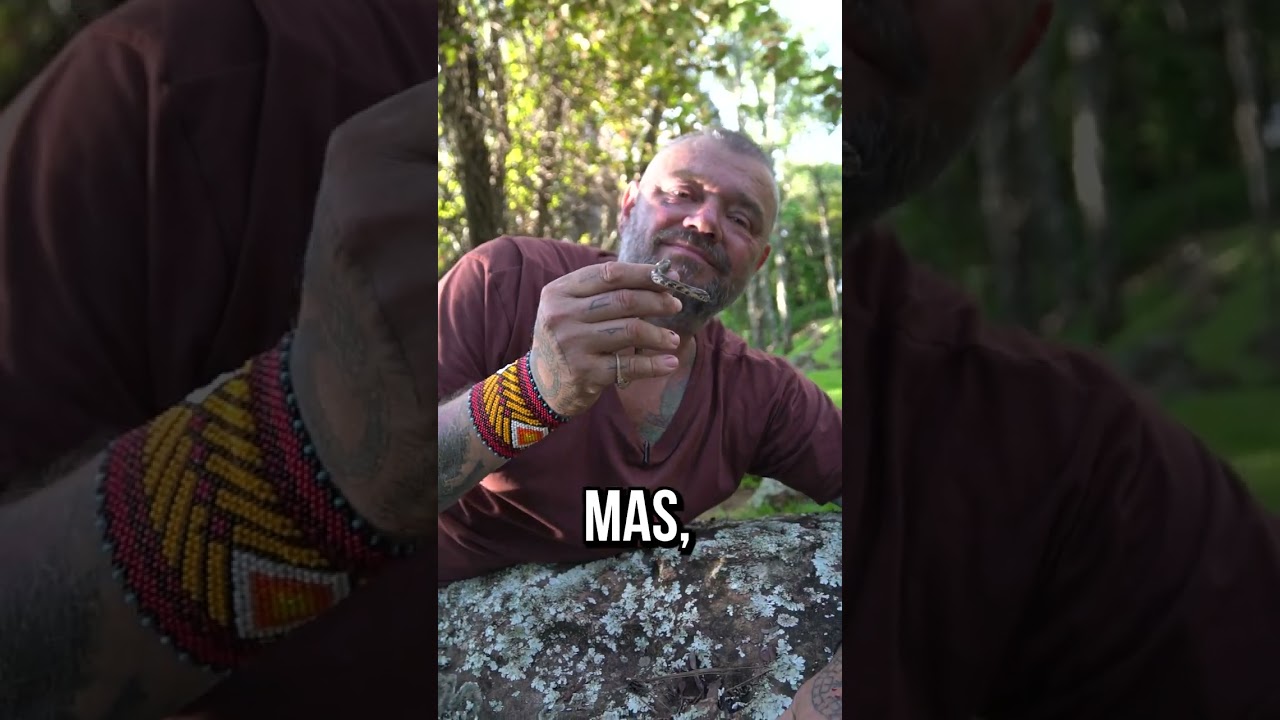 UMA COBRA QUE PARECE JARARACA MAS N&Atilde;O &Eacute;! #shorts
