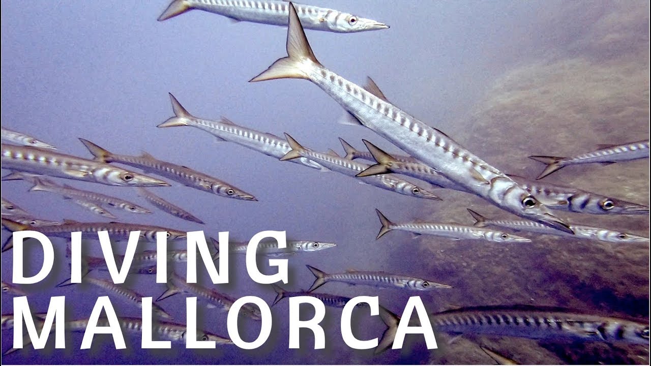 Mallorca | Diving | Dragonera