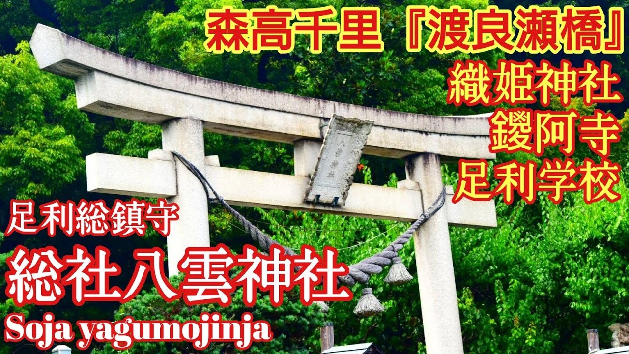 栃木 祇園信仰とスサノオ『総社 八雲神社』 鑁阿寺 足利学校 森高千里”渡良瀬橋”【音声ガイド】