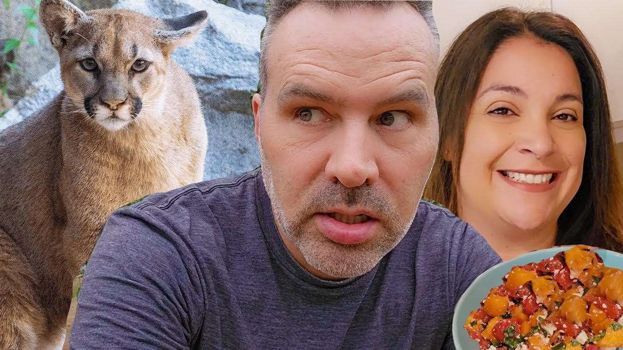 A Cougar in the Garden & A Cougar in the Kitchen