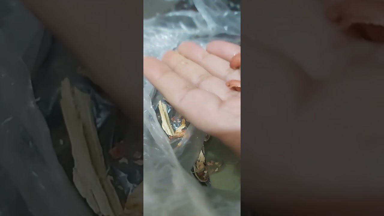 #peanut