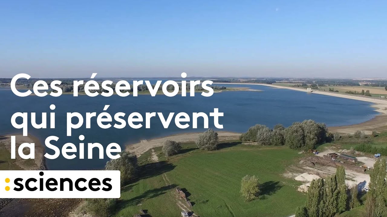 La Seine sauvée par ses bassins de rétention