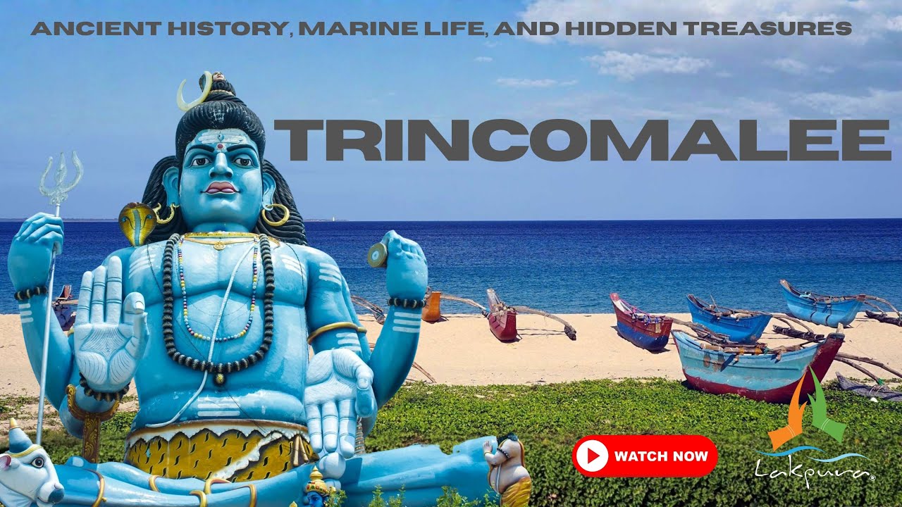 Trincomalee Sri Lanka | Ancient History, Marine Life, and Hidden Treasures