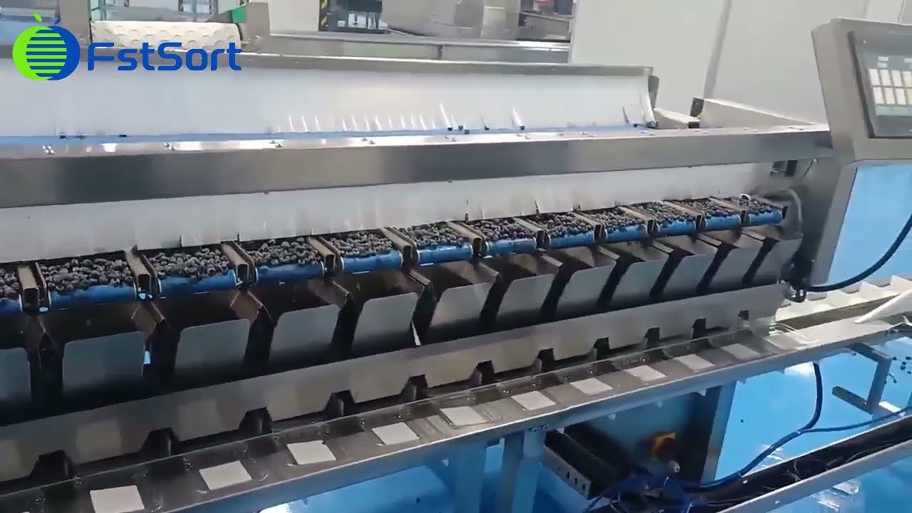 Blueberry packing equipment​,berry packing facility​,wholesale blueberry weighing packaging machine​