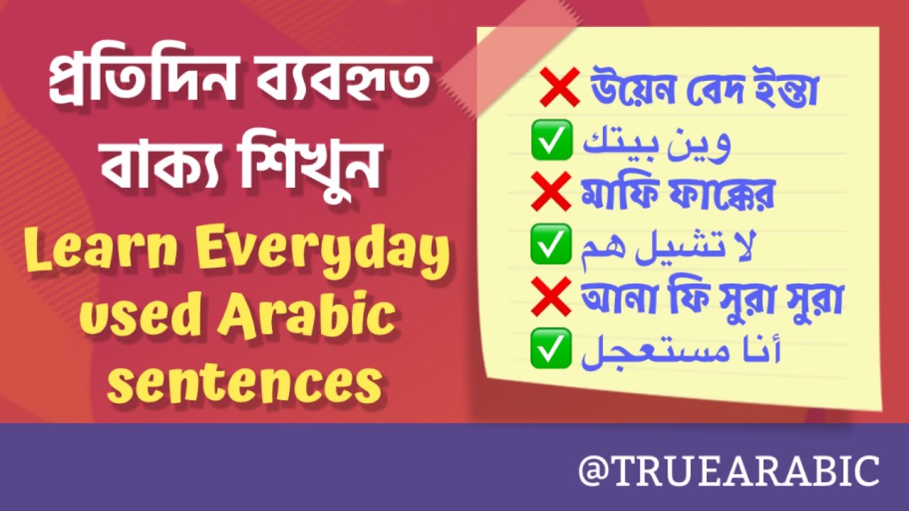 নতুন আরবি বাক্য শিখুন । learn Arabic sentences  in bangla  with True Arabic