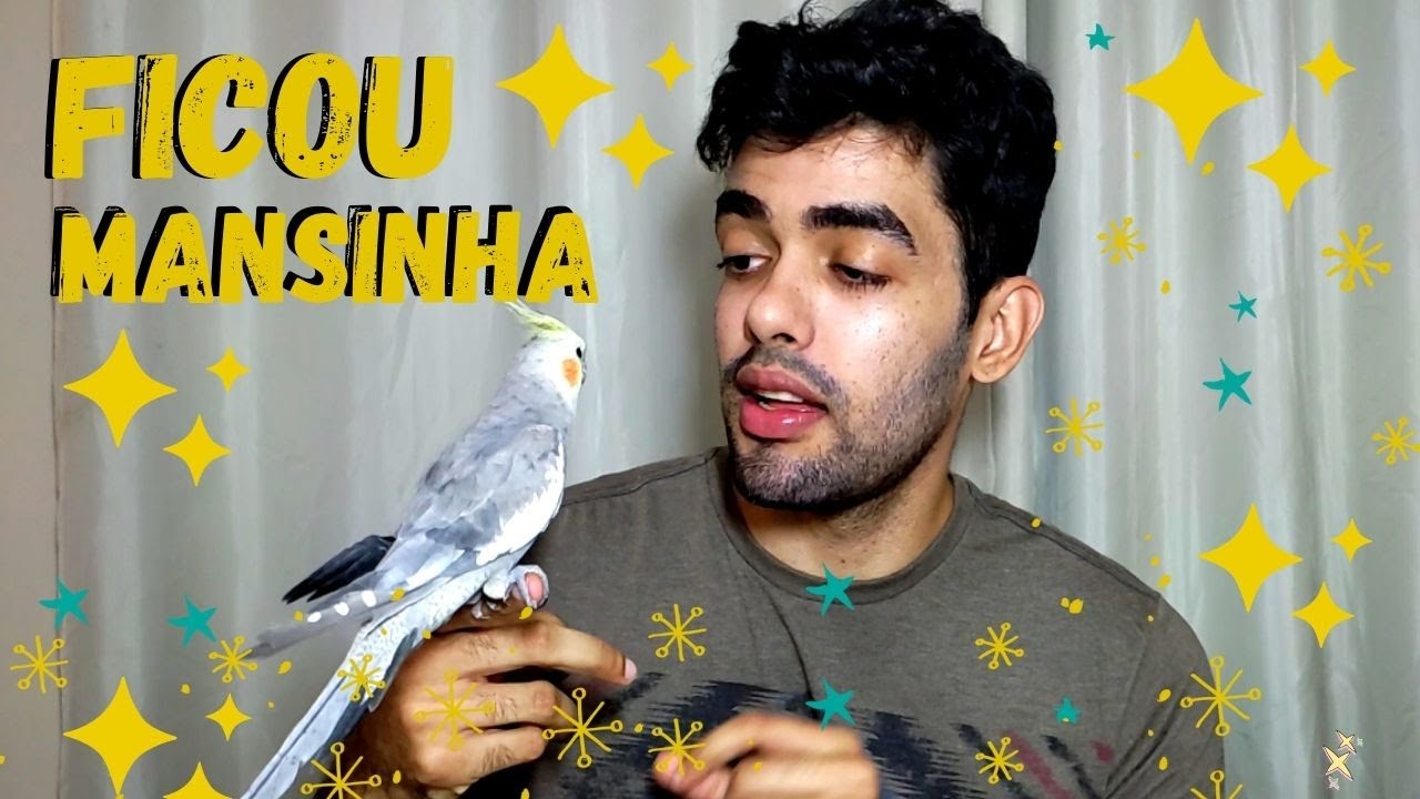 Como AMANSAR a sua CALOPSITA R&Aacute;PIDO e F&Aacute;CIL  [PASSO A PASSO COMPLETO]