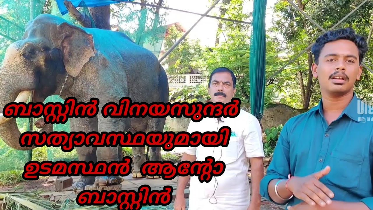 ബാസ്റ്റിൻ വിനയസുന്ദർ- ഉടമസ്ഥന്റെ വാക്കുകളിലൂടെ | Gajayuga 2020