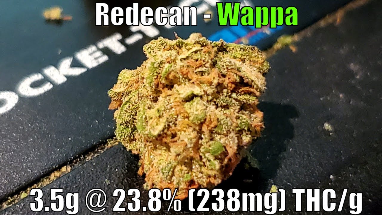 Redecan - Wappa Unboxing Review - 3.5g @ 23.8%THC/g (+Extreme Closeups)