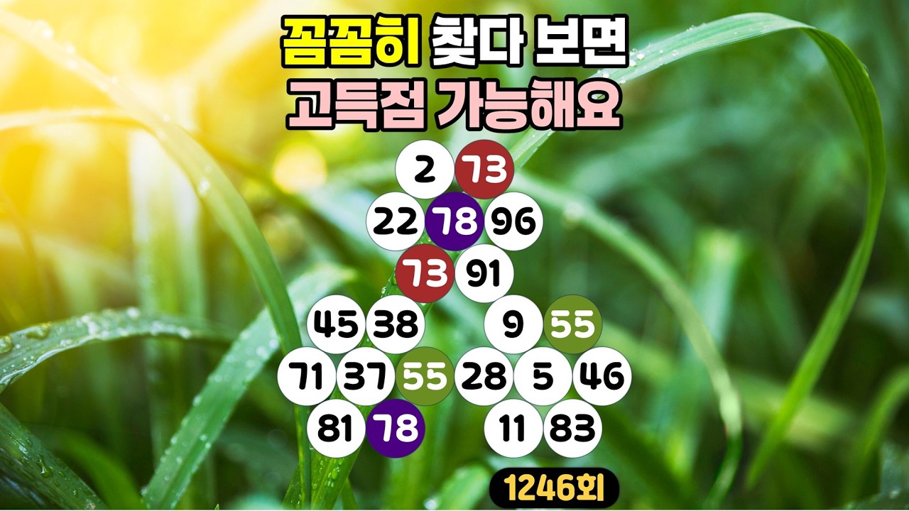 [같은숫자찾기] 1246회 - 꼼꼼히 찾다 보면 고득점 가능해요!👀✨ #같은숫자찾기#뇌트레이닝#두뇌훈련#퀴즈