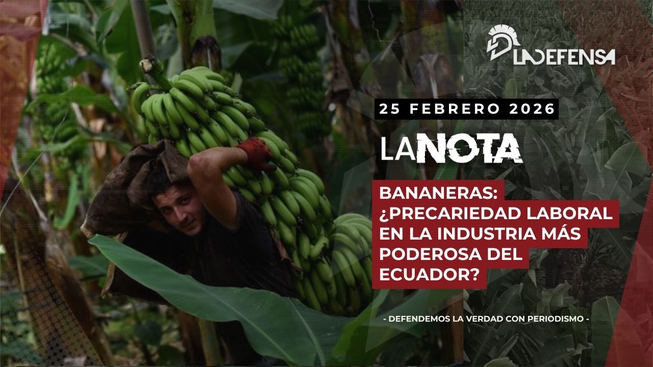 BANANERAS: ¿Precariedad laboral en la industria más poderosa del Ecuador?