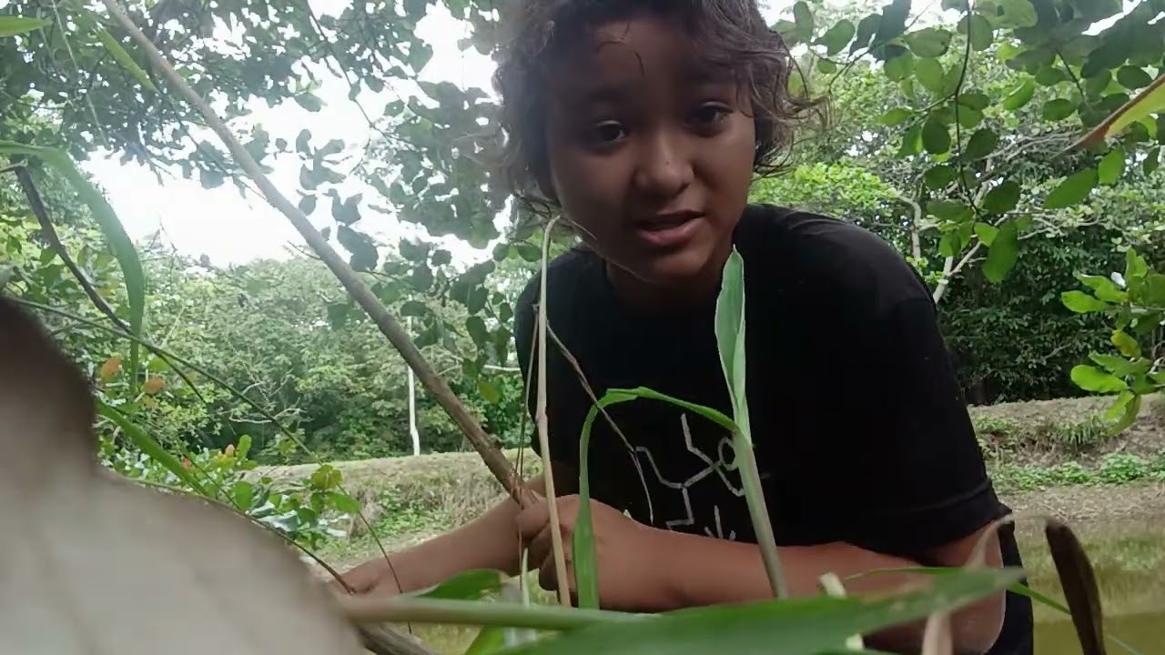 PESQUEI UM *peixe