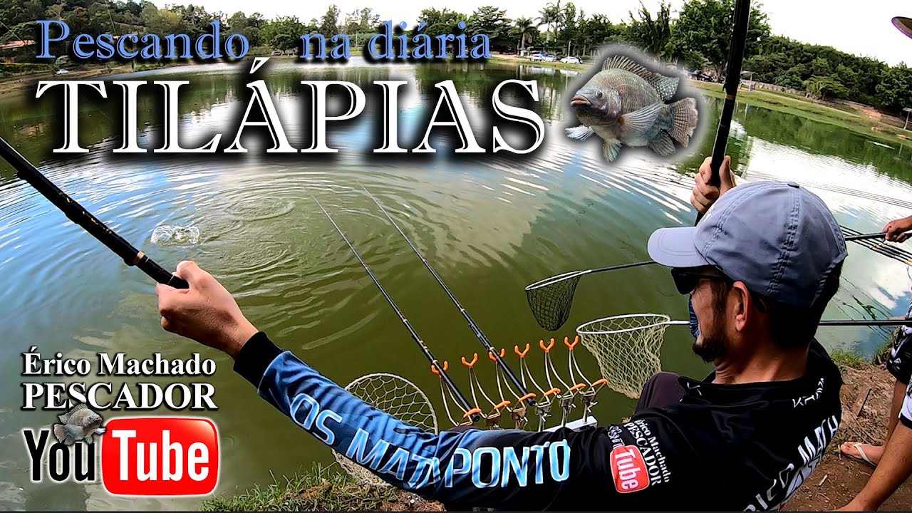 Pescando Tilápia na diária da prainha do pesqueiro BIAZI - Louveira-SP