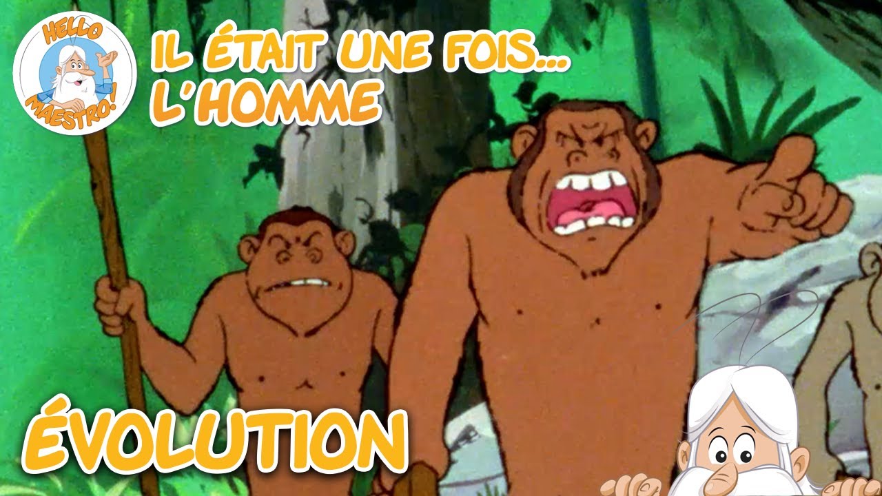 Évolution | Compilation d'épisodes | Il était une fois... L'homme