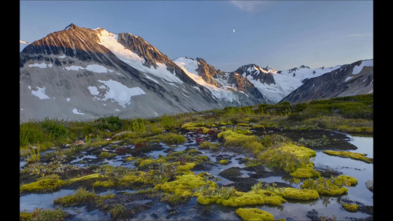Abraham Hicks - KILL THE SILENCE