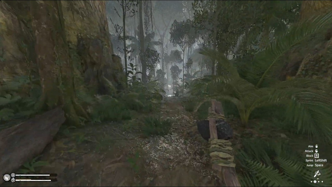 Kembali ke Amazonia Pt.6 ? Green Hell Indonesia